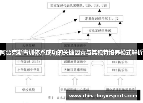 阿贾克斯青训体系成功的关键因素与其独特培养模式解析 阿贾克斯青训体系成功的关键因素与其独特培养模式解析
