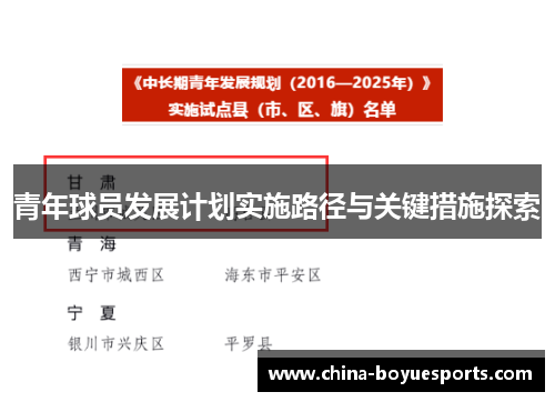 青年球员发展计划实施路径与关键措施探索